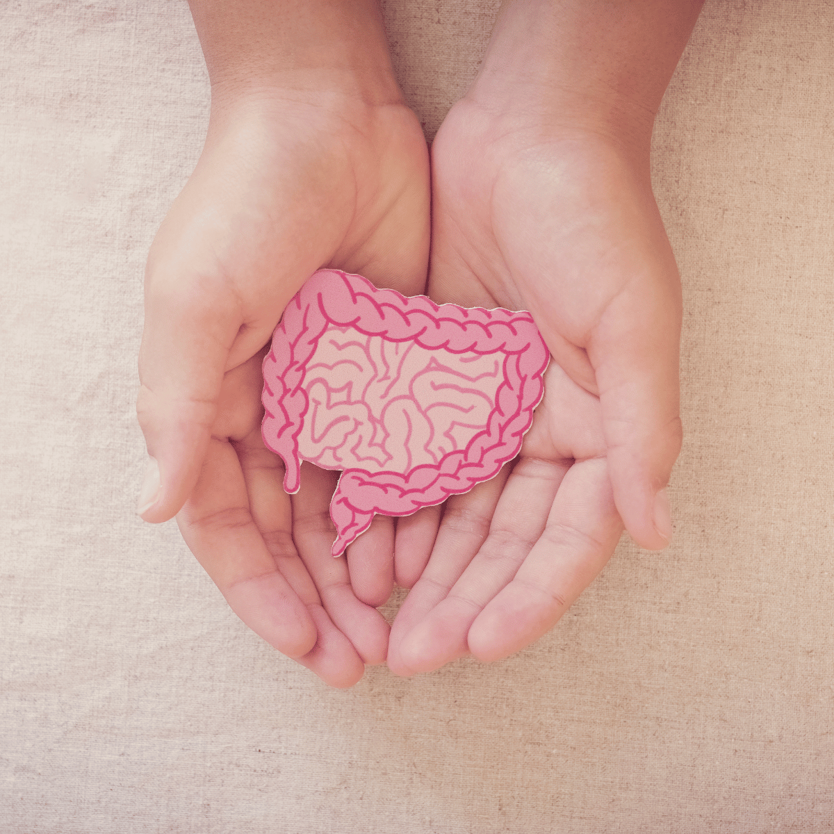 Pourquoi le microbiote intestinal est essentiel pour votre santé ?